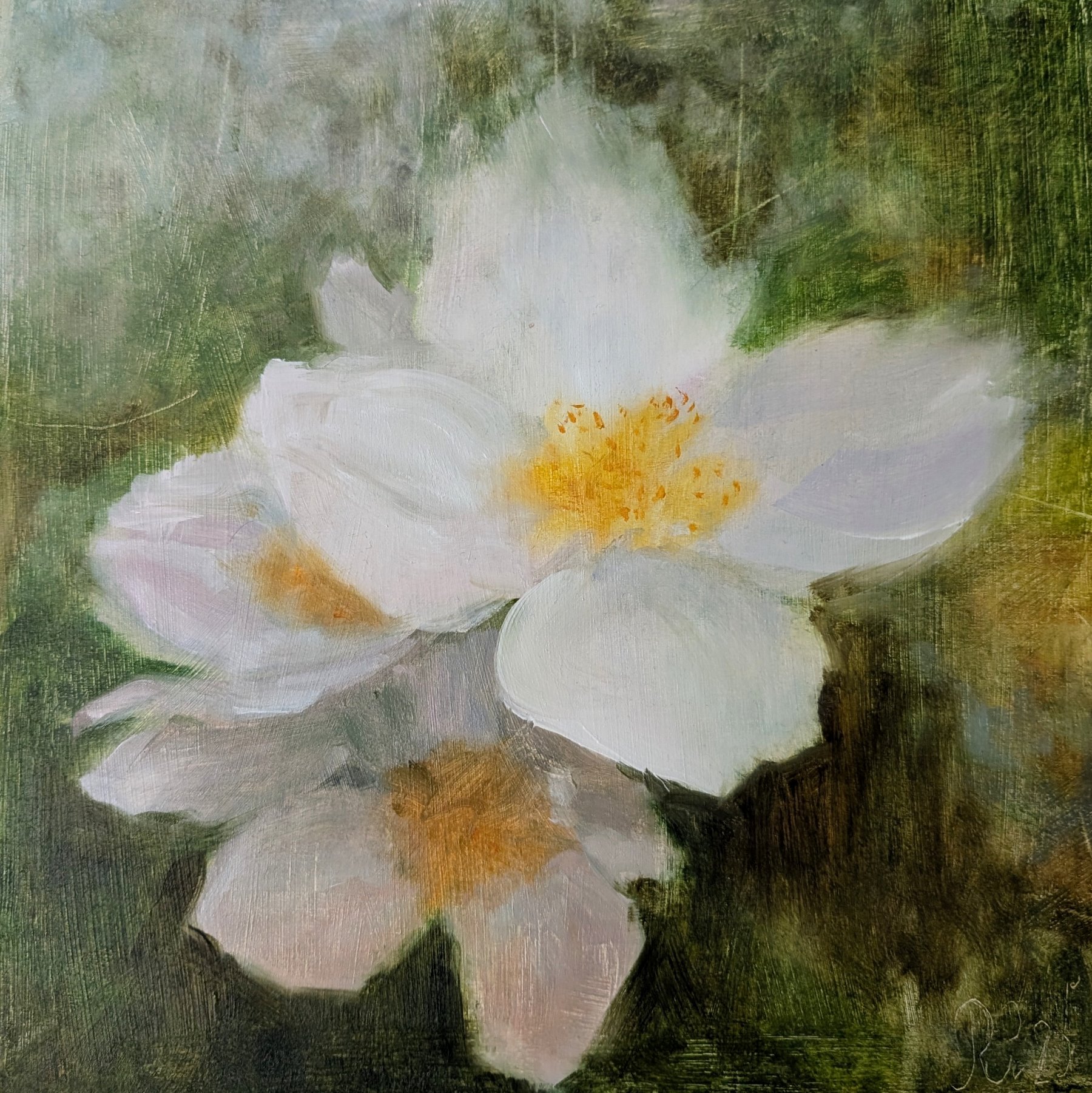 Zarte weiße Apfelblüte – Ölgemälde
